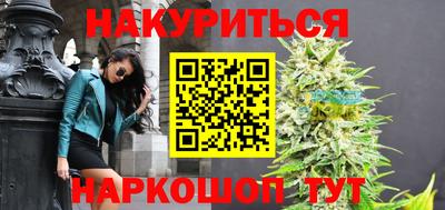 стаф Бердск