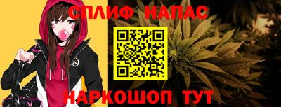 стаф Бердск