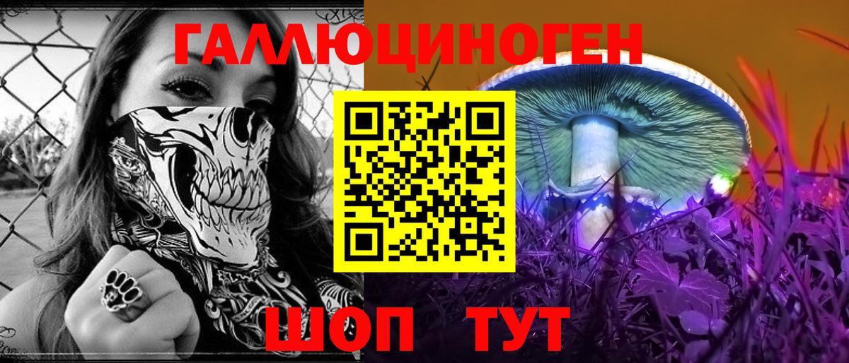 Галлюциногенные грибы GOLDEN TEACHER Красный Сулин
