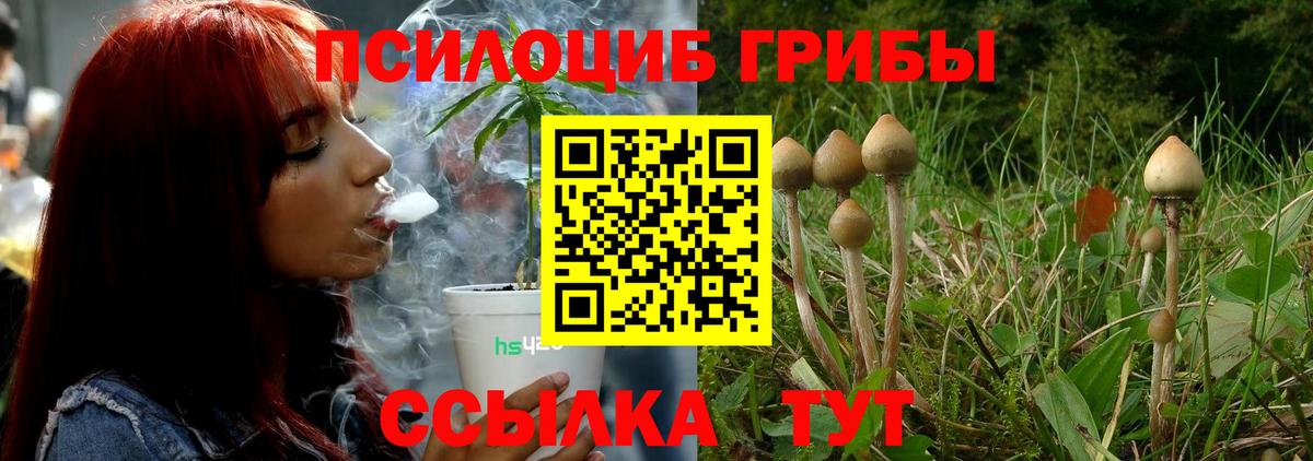Псилоцибиновые грибы Psilocybine cubensis  Псилоцибиновые грибы ЛСД  Красный Сулин  наркота  Вход с VPN 
