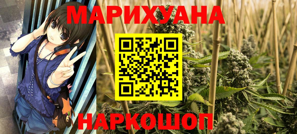Конопля сатива Красный Сулин